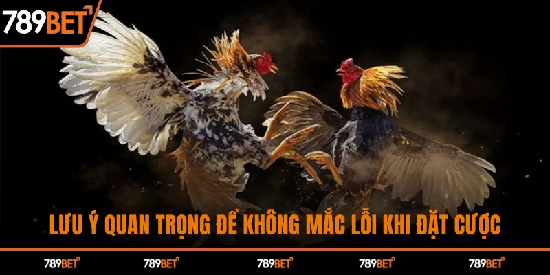 Lưu ý quan trọng để không mắc lỗi khi đặt cược
